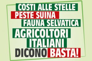 Caro energia, peste suina e tensioni Russia-Ucraina mettono in ginocchio l&rsquo;agricoltura italiana