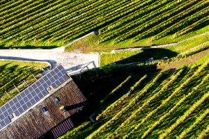 Agroenergie: entro marzo il bando da 1,5 miliardi di euro per il fotovoltaico sui tetti agricoli