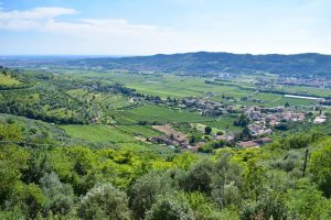 Oltre la pandemia e non solo