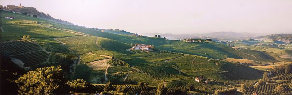 Il Cru Cerequio di Michele Chiarlo