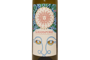 Fattoria Coroncino, Doc Verdicchio dei Castelli di Jesi Classico Superiore Gaiospino 2019