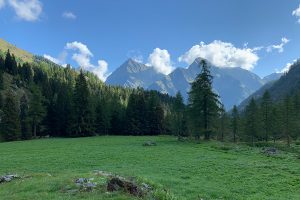 Nel 2021 in Italia la superficie forestale gestita in maniera sostenibile arriva a 892.609 ettari