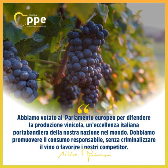 Il presidente di Forza Italia, Silvio Berlusconi