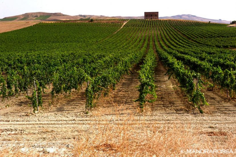 Mandrarossa svela a Milano le novità di brand 