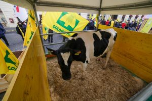 I prezzi delle materie prime corrono, eD i margini di agricoltori e allevatori si assottigliano