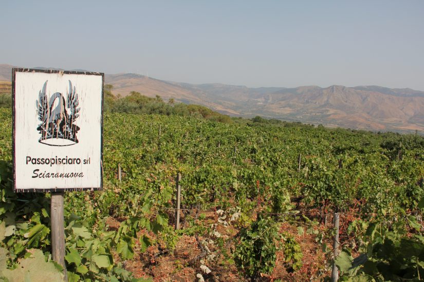 Passopisciaro sull’Etna