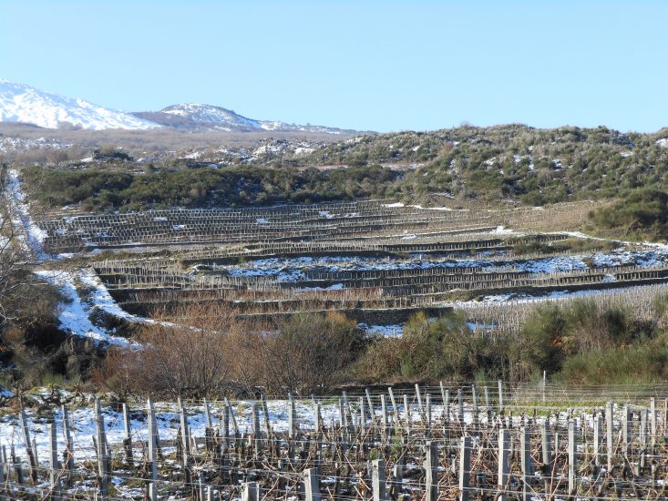 Passopisciaro sull’Etna