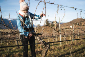 I “Vignaioli di Montagna” scendono in città per raccontare il rapporto profondo tra uomo e natura