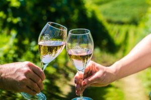 Prosecco Doc, progetti di crescita a “somma zero” per il vigneto sul territorio