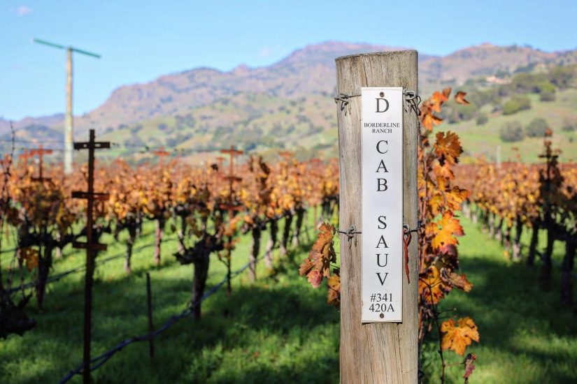 La griffe della Napa Valley Shafer Vineyards