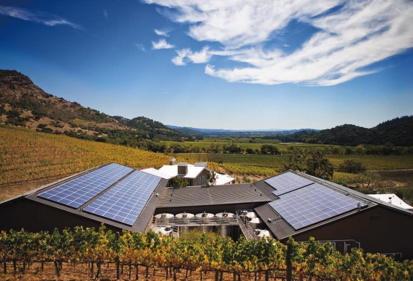 La griffe della Napa Valley Shafer Vineyards