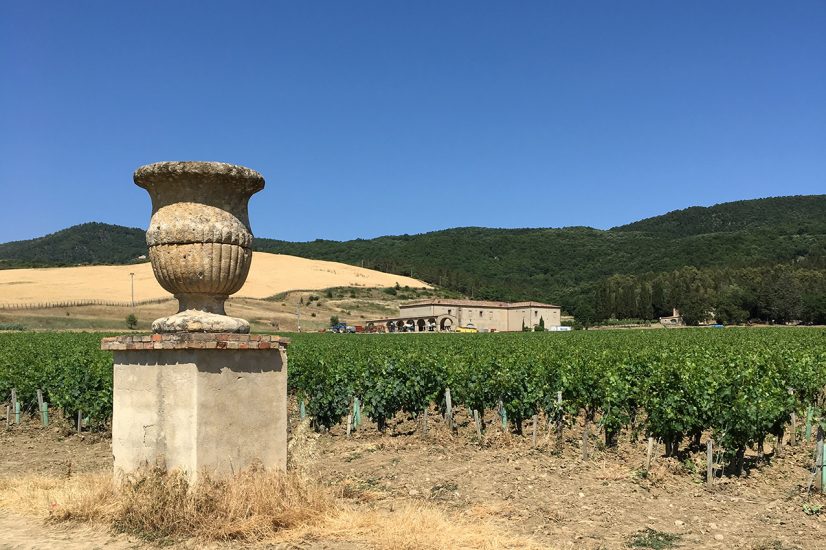 Tenuta di Trinoro in Val d’Orcia