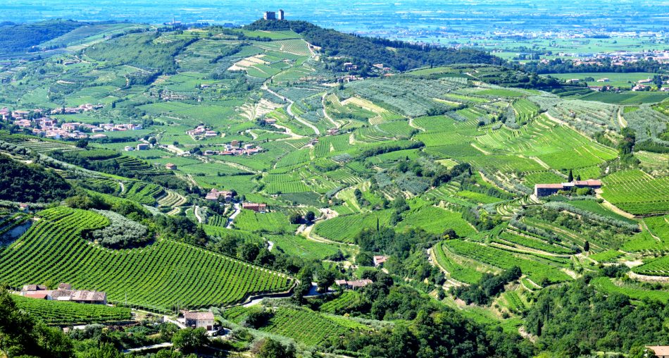 La Valpolicelle a la Valpantena