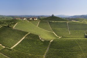 The 2018 vintage of Barolo, according to DEDITUS producers is elegant, classic, similar to Burgundy