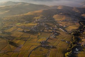 Beaujolais, le vendite tornano a correre nel 2021. Ma incombe il passaggio generazionale
