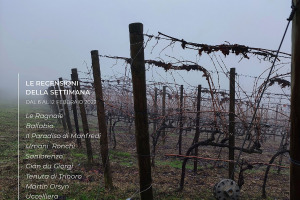 I Vini di WineNews - N. 192