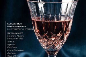 I Vini di WineNews - N. 195