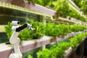 Il settore primario sar&agrave; quello che avr&agrave; maggiori benefici dalla raccolta e dalla gestione dei dati