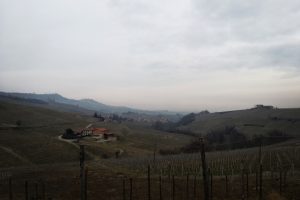 Barolo: modello di eccellenza internazionale