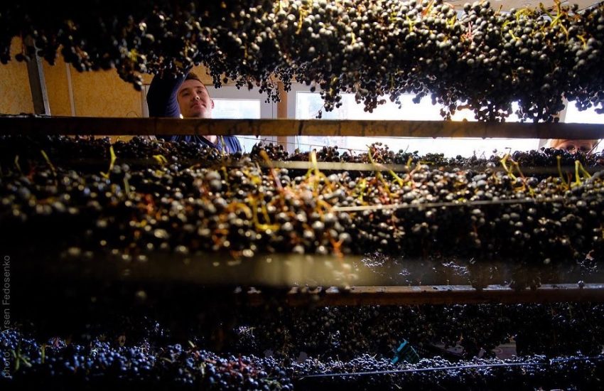 Beykush Winery, nel sud dell’Ucraina
