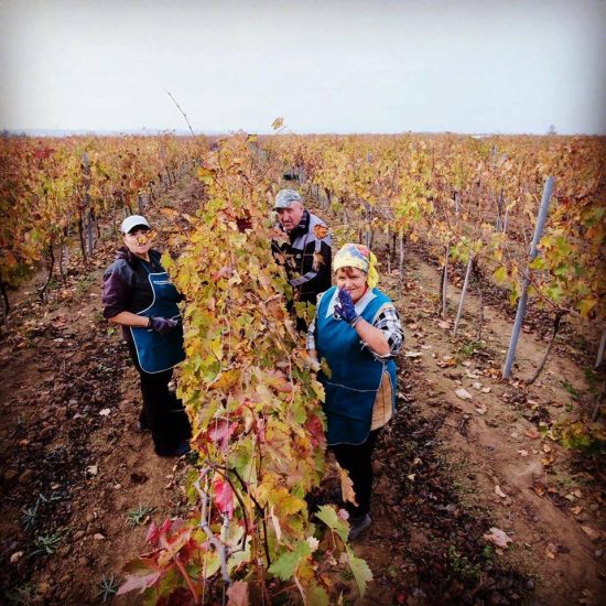 Beykush Winery, nel sud dell’Ucraina