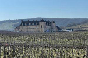 “Les Grands Jours de Bourgogne 2022”, le ultime vendemmia di Borgogna alla prova del calice