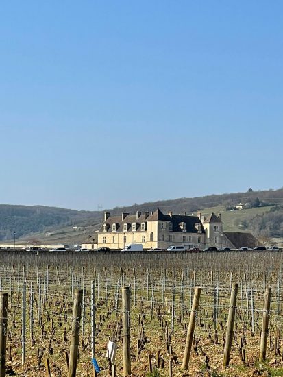 Assaggi ed immagini da “Les Grands Jours de Bourgogne 2022”