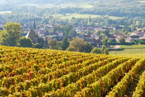 The Burgundy of wine meets the arriving of the spring, with new vintages and Hospices de Nuits