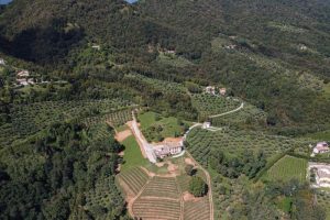 Un bosco “responsabile”, esistente da oltre tre secoli ma abbandonato, rinasce grazie a Cecchetto