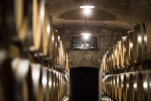 I bilanci delle grandi aziende del vino italiano per ritrovare il sorriso e la fiducia