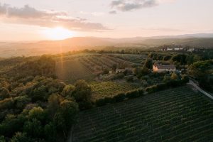 Vino e investimenti, Pizzolato punta sul Chianti Colli Senesi e sul bio, con Casale III