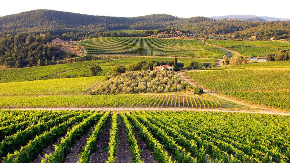 Il Castello di Nipozzano di Frescobaldi