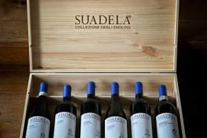 Una “Collezione degli Enologi” per raccontare il vino italiano nel mondo