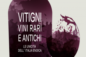 Coltivati in fazzoletti di terra dai vignaioli di “frontiera”, ecco i “Vitigni, vini rari e antichi”