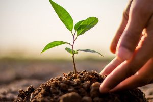 La Coop premia i fornitori a marchio “virtuosi” nelle politiche sostenibili e nella parità di genere