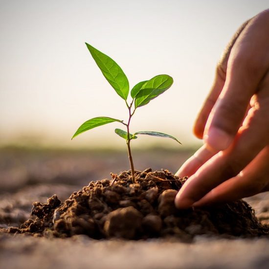 “Coop For Future” e “Close The Gap”