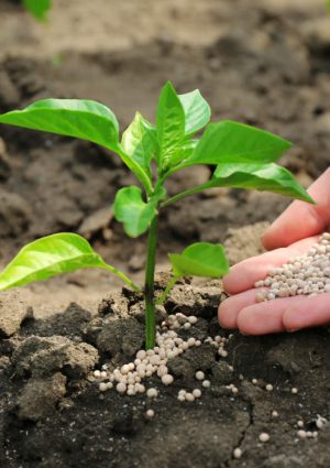 La Commissione Europea sospende temporaneamente i dazi sui fertilizzanti importati