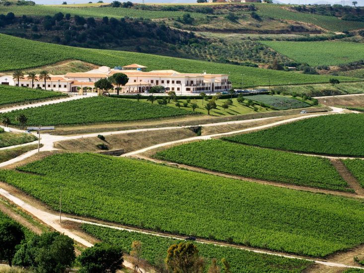 Feudo Arancio del Gruppo Mezzacorona, in Sicilia