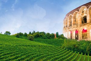 Politica del vino, mercato, sostenibilità e degustazioni: il Congresso Assoenologi n. 75 a Verona