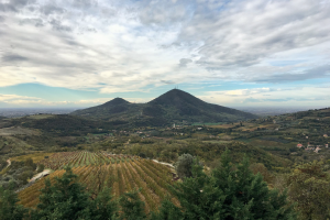 Tra suoli e clima, le sei aree vitivinicole su cui i Colli Euganei costruiscono la loro zonazione