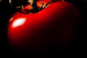 Pomodoro da industria italiano, non c&rsquo;&egrave; l&rsquo;accordo sul prezzo (si tratta sui 10 centesimi al chilo)