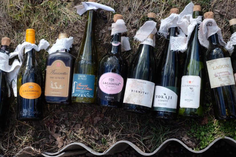 Guerra e vino, tra resistenza e accoglienza