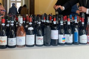 Cortona, già “capitale” italiana della Syrah, vuole diventare centro internazionale della varietà