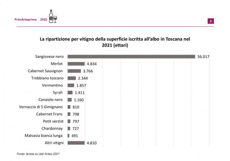 I numeri del vino di Toscana secondo Ismea