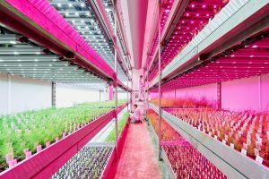 Nel presente e futuro dell&rsquo;agricoltura italiana tra &ldquo;Vertical Farming&rdquo;, &ldquo;Nature Co-design&rdquo; e &ldquo;Snait&rdquo;