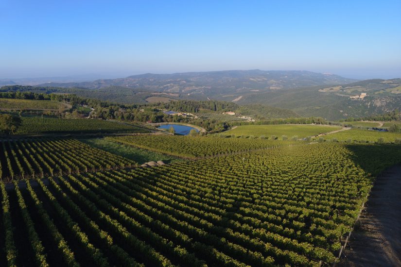I vigneti di Podere Forte, in Val d’Orcia