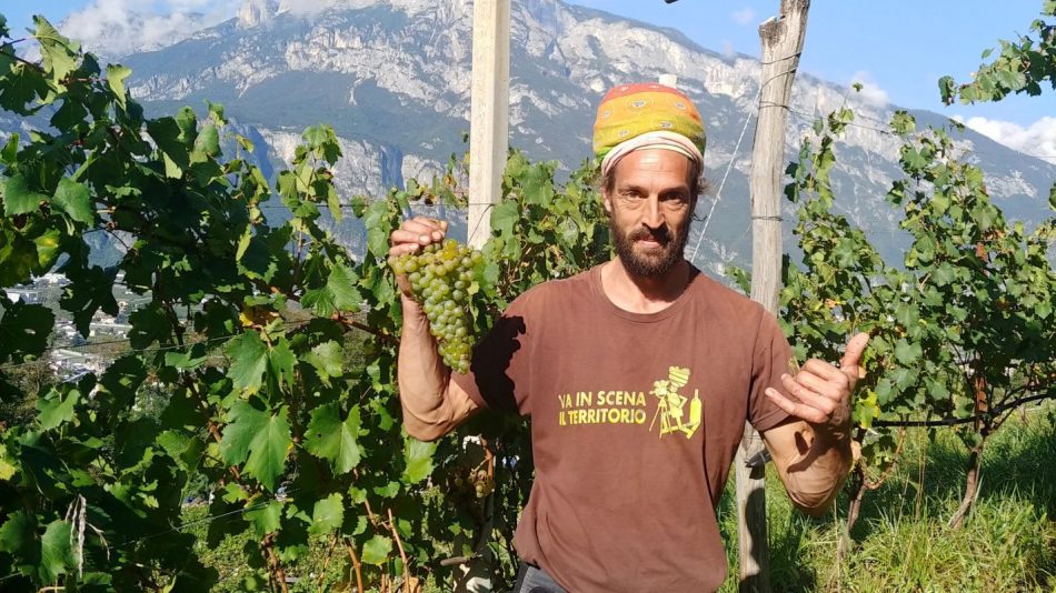 I “Vignaioli di Montagna” del Trentino Alto Adige sono a Milano