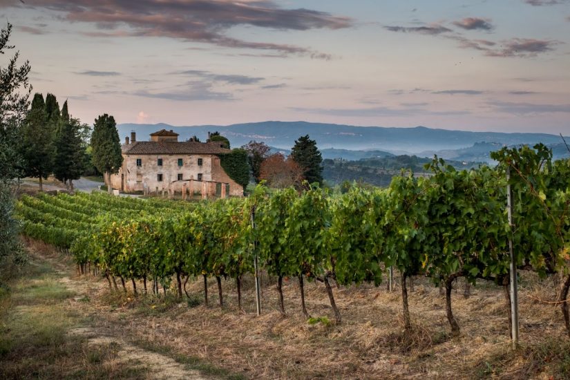 I vigneti di Toscana nelle Terre di Pisa