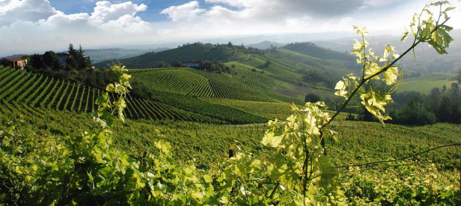 La Toscana del vino fa i conti con il mercato, puntando su pi&ugrave; qualit&agrave; e minor volume