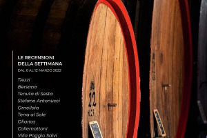 I Vini di WineNews - N. 196